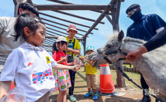 [중부포토] 말들과 함께 즐거운 주말 보내요