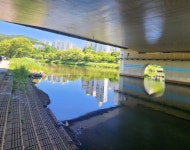 성남시, 탄천 15.7㎞ 구간 준설 완료 1급수로 거듭나