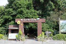 [버스타고 한 바퀴] 바쁜 도심에서 벗어나  한숨 돌리는 여행길