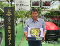 [사람in] 이완용 송산포도팜스토리 대표 문화 접목한 테마별 포도농장 선보일 것