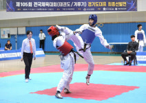 용인대 양원석·경희대 경채원 등 45명, 전국체전 태권도 경기도 대표 선발