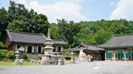 [경기도 전통사찰] 콘크리트 숲 도심사찰에 350살 목조건물이 숨쉰다
