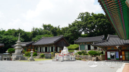 [경기도 전통사찰] 콘크리트 숲 도심사찰에 350살 목조건물이 숨쉰다
