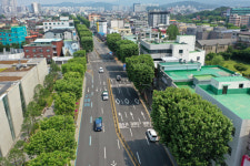 걷기 좋은 계절 가을… 수원의 명품 가로수길·도시숲·맨발길 걸어볼까
