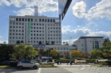 부천시, 시청 정문 앞 불법현수막 가로수 몸살