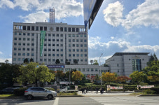 부천시, 시청 정문 앞 불법현수막 가로수 몸살