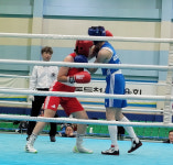 경기도지사배 복싱대회 성료… 경기 경험 통해 성장 도모