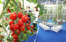 진입장벽 높은 농림부 스마트팜 사업… 포천은 한 건도 없어