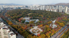 [알쓸라이프] 만추 정취 만끽… 따아 들고 가볼만한 도심속 가을 공원 5선