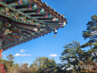 [버스타고 한 바퀴] 외국과 한국 감성이 공존하는 겨울철 수원 산책