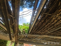 좌초 위기 창영초등학교 시설 개보수 문화재 심의 넘었다