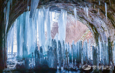 한파 먹고 자라난 역고드름