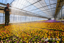 [중부포토] 봄기운 넘치는 양묘장