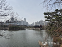 [버스타고 한 바퀴] 성남의 현재와 과거를 달린다… 220번 버스에서 만나는 도심 속 명소