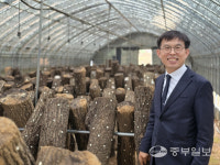 연곡초 찾아간 양주시향 관내 모든 학교가 시향의 현장 연주 희망