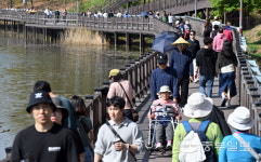 [중부포토] 풀린 날씨에 봄 산책 나온 시민들