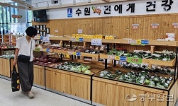 [현장 24시] "신선+할인=믿고 산다"… 수원로컬푸드직매장 큰 인기
