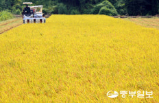 [화보] 올해도 풍년이구나