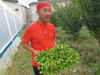 [사람in] 김학정 OK농장 대표 어려웠던 사람이 타인의 어려움도 아는 법