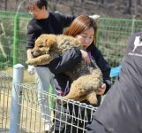 [사람in] 이효정 도로시지켜줄개 대표 동물과 사람이 함께 살아가는 그날을 위해