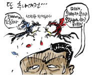 [최경락 만평] 또 추나대전...