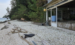 사유지라서…방치된 채 병드는 인천 동구 유일섬 물치도