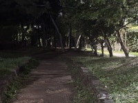 어둡고 울퉁불퉁… 부평 부영공원 산책로 정비 시급