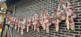 [사람in] 김형진 모래울마을협동조합 이사장 대청도 홍어로 섬 발전 모델 만들 것