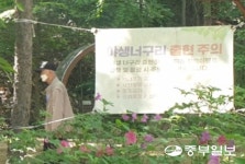 [함께 생각해요] 도심 곳곳 등장 야생 너구리, 유해조수 지정 vs 보호 공존 대상