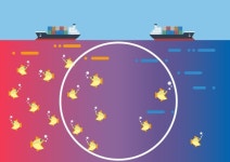 발상의 전환 퍼플오션 노리는 은행권