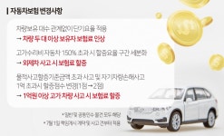 내달 일부 고가차량 보험료 현실화…하반기 추가인상 가능성↓