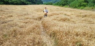 [응답하라, 우리술 160] 이제는 농업양조인의 시대