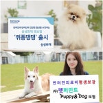 삼성화재 위풍댕댕,  3일만에 메리츠화재 판매량 넘었다