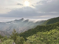설악솜다리 보며 걷는 공룡능선길