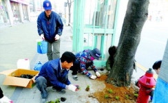 손끝마다 봄내음… 거리 곳곳 심었죠