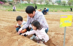 텃밭에 고추·고구마 심었어요