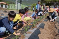 학산초 텃밭 가꾸기를 통한 인성교육