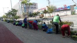 금천동 노인일자리 참여자 및 주민 구슬땀 한창