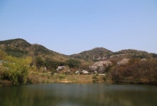 당진 아미산에서 가족 산행 즐기세요!