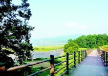 정겨운  시골길  여행