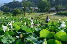 고암 이응노 생가기념관, 예술과 자연이 어우러진 명소로 각광
