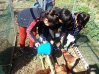 달걀을 직접 꺼내봐요