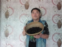 왕의 열매 아로니아 아시나요? 면역력 쑥쑥… 효능 대박이네