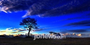 갑오년 숨차게 달려온 청마