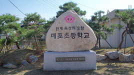 단양 매포초 총동문회, 25일 총동문체육대회