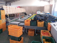 파프리카로 年 15억 매출 … 난 오뚝이 농부