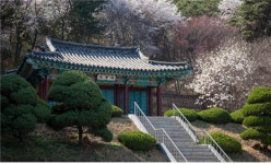 5월의 우리고장 현충시설 홍성군 충령사