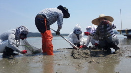 서산시공직자 농가일손지원 연일 구슬땀