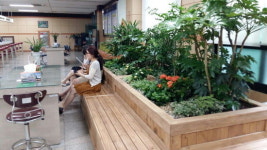 영동군, 군청 민원실 내 작은 정원 조성 눈길