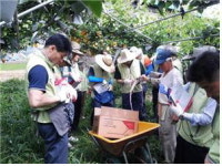 철도공단 시설장비사무소, 1사1촌 결연